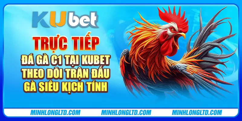 Trực tiếp đá gà C1 tại Kubet: Theo dõi trận đấu gà siêu kịch tính